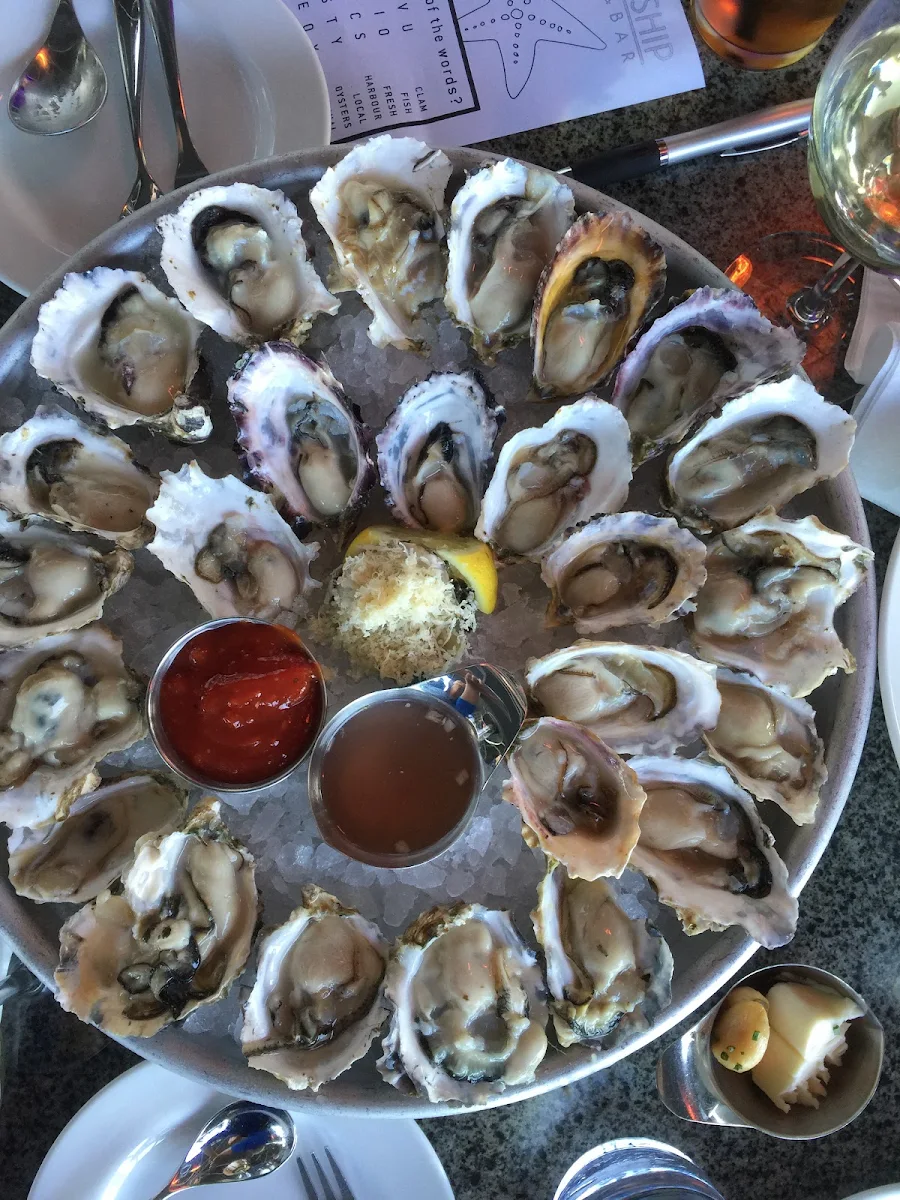 Oysters on the Half Shell