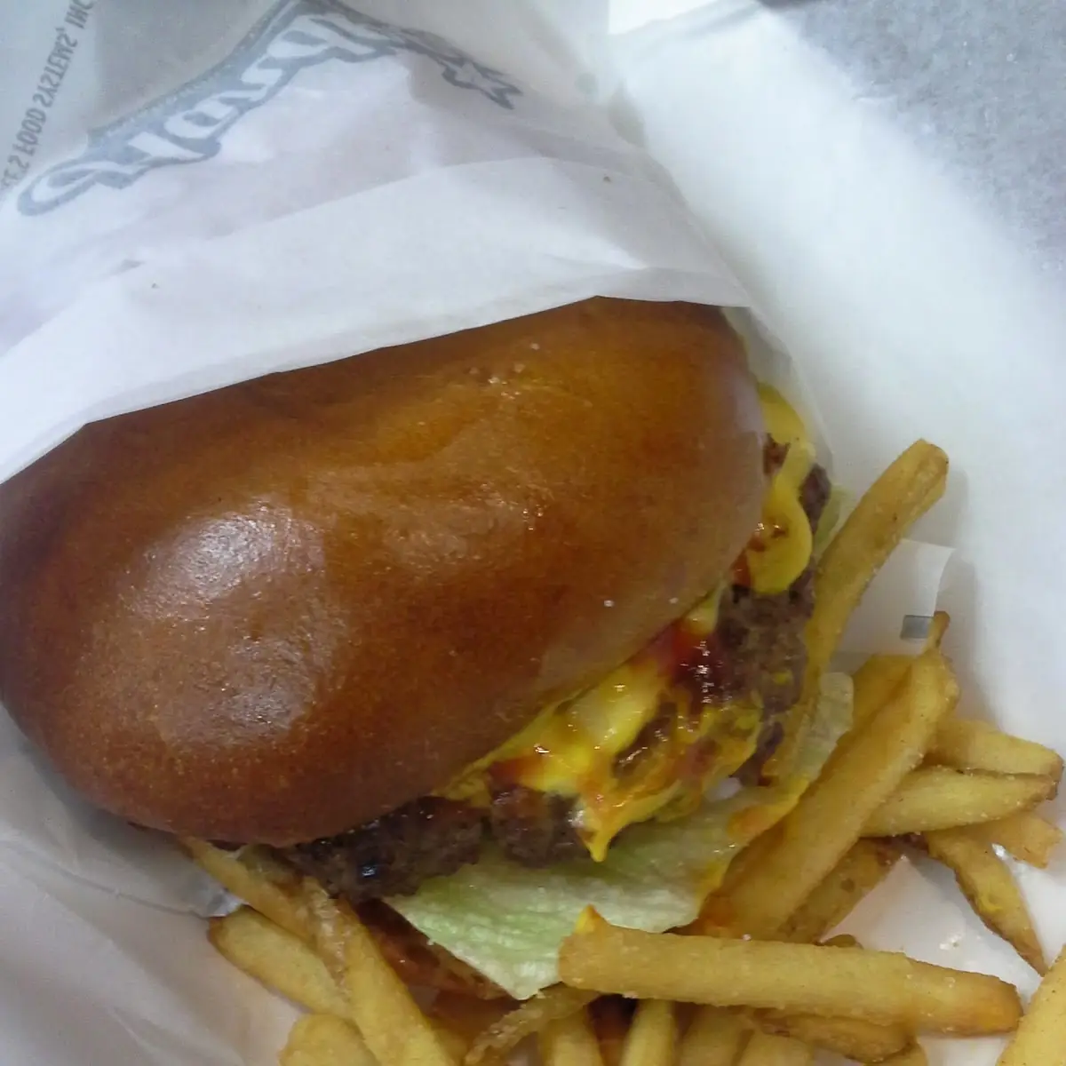 Double Cheeseburger with Fries