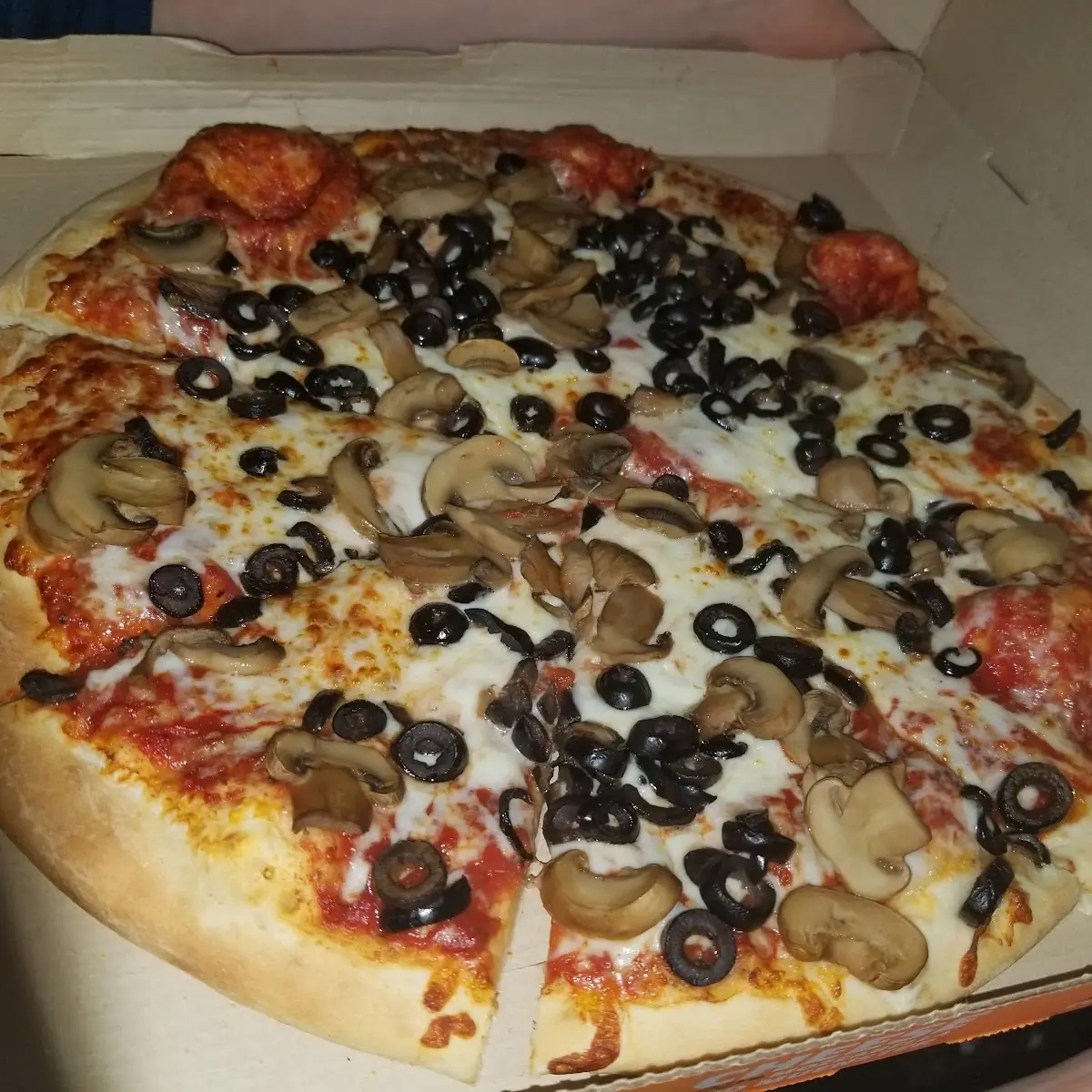 Black Olive & Mushroom Pizza