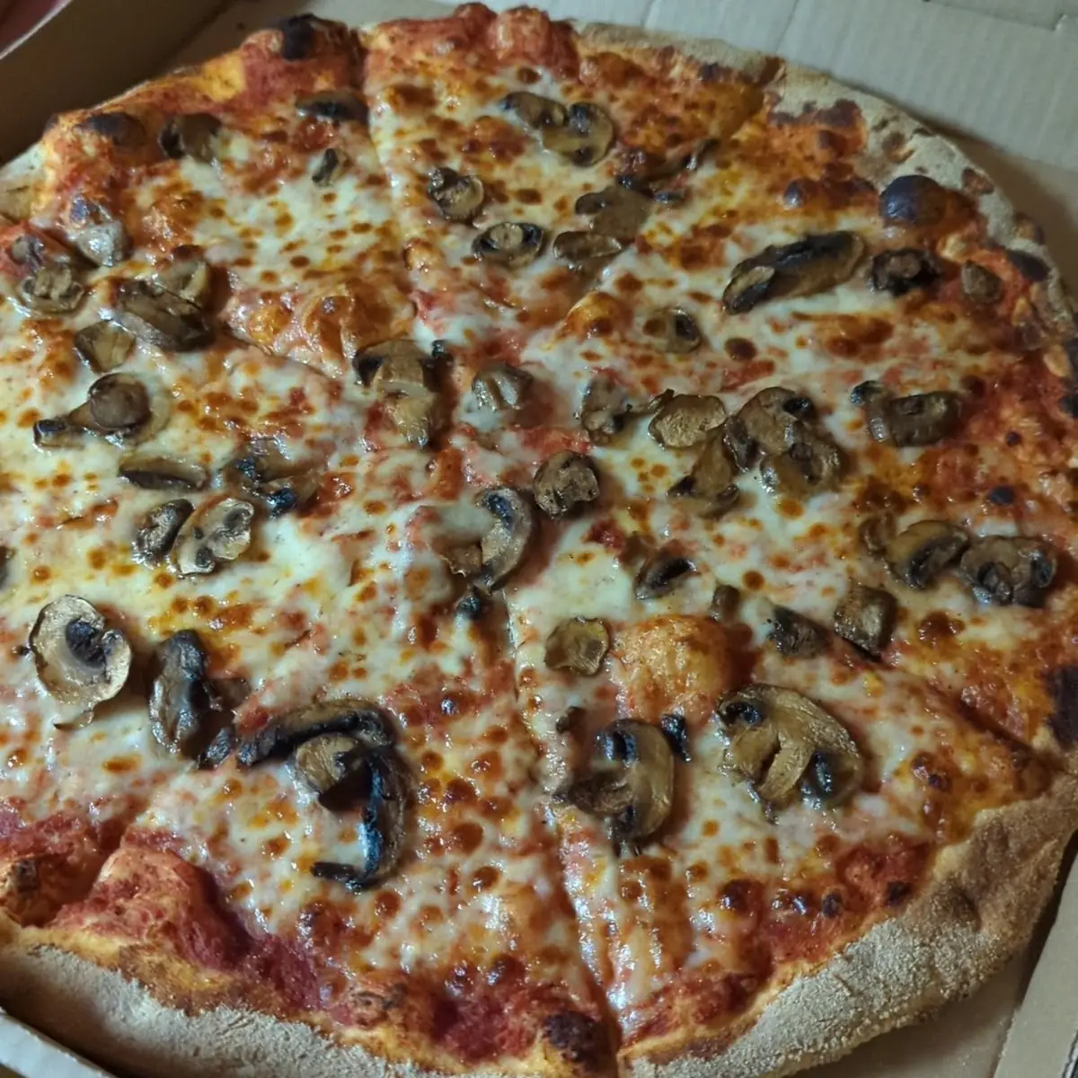 Mushroom Pizza