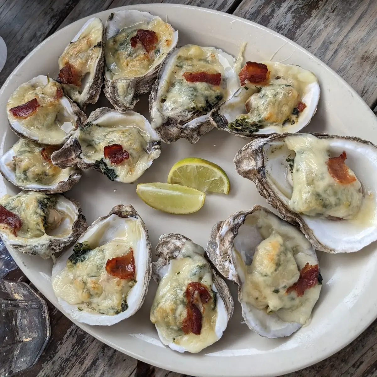 Texas Grown Oysters on the Half Shell