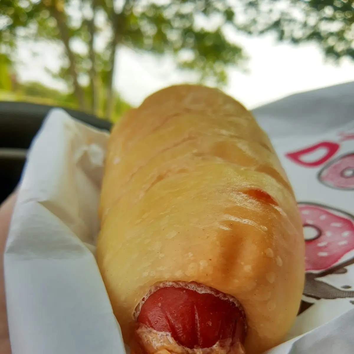 Hot Dog