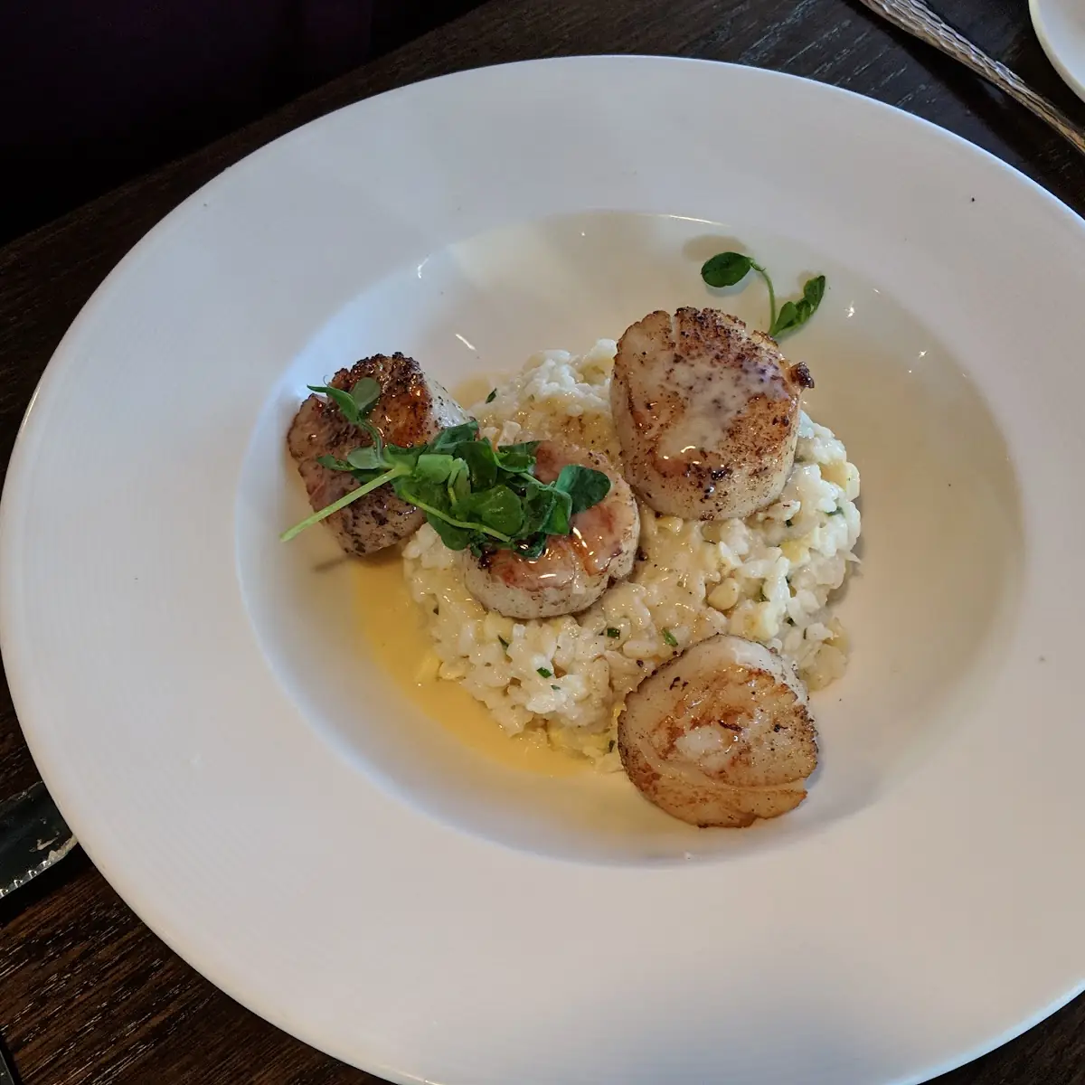 Pan-Seared Scallops