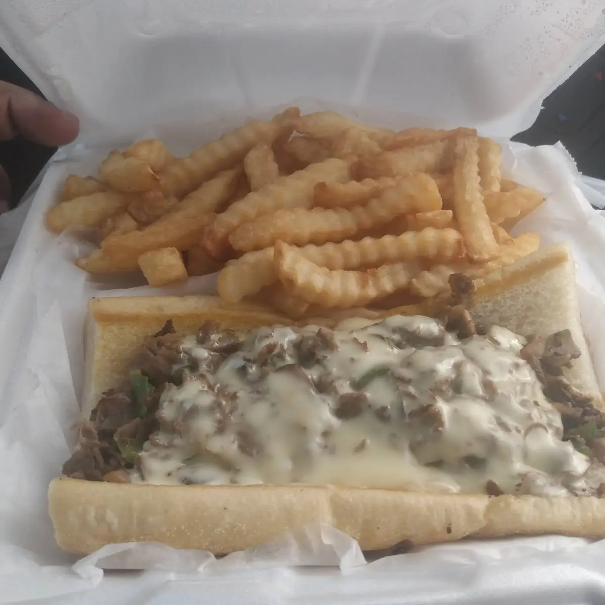 Cheese Steak and Fries