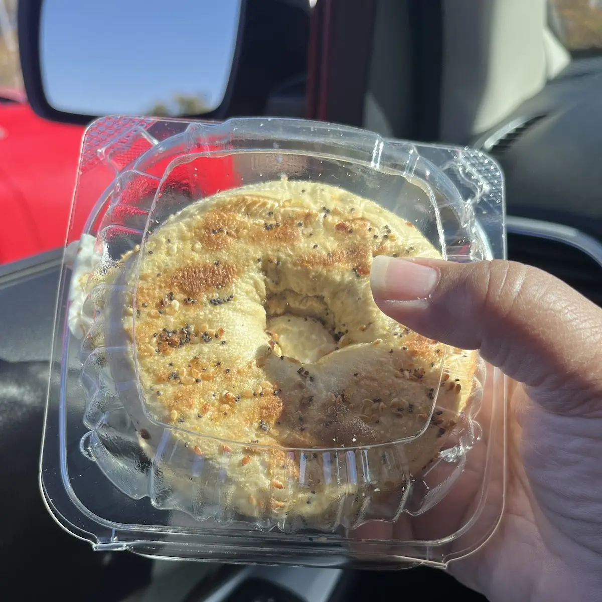 Everything Bagel with Cream Cheese