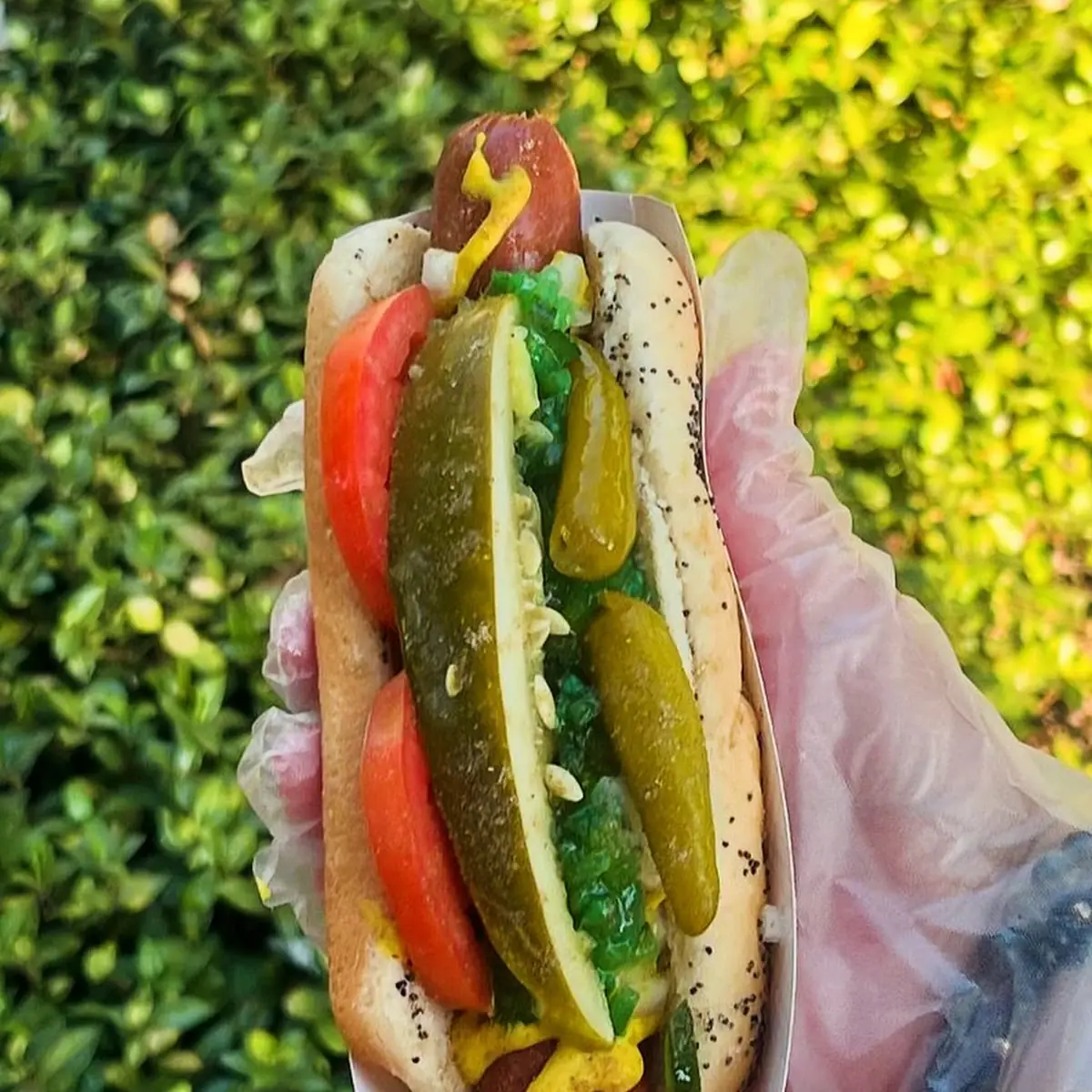 Hot Dog