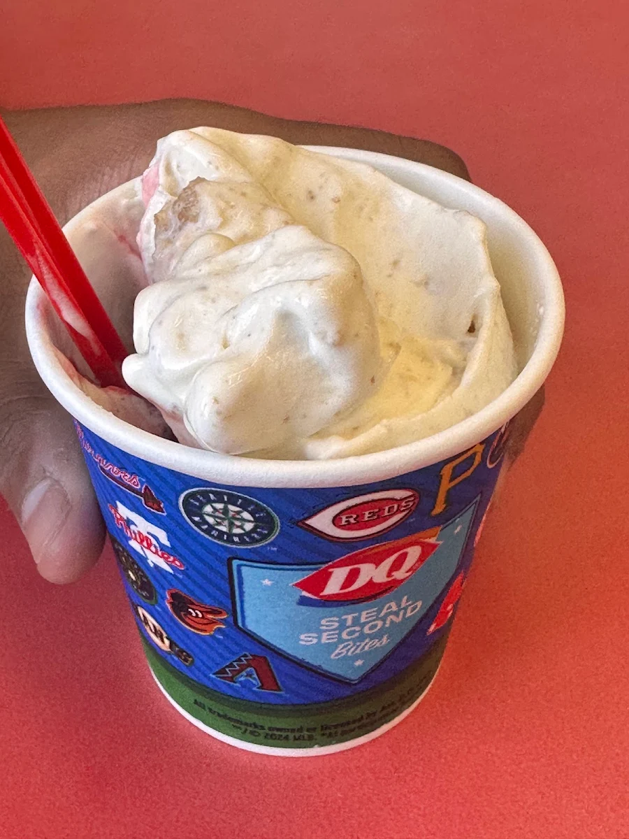 Vanilla Ice Cream
