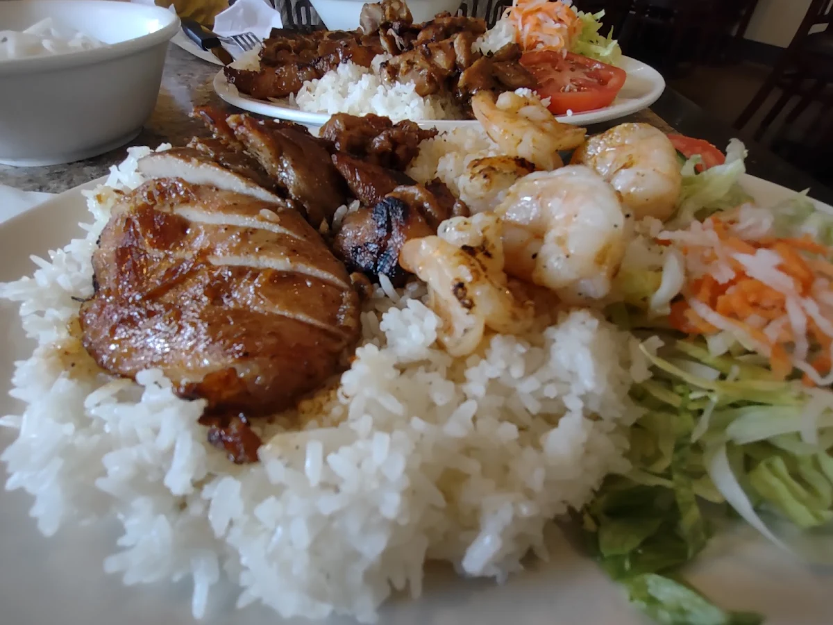 Chicken & Grilled Pork Chop on Rice