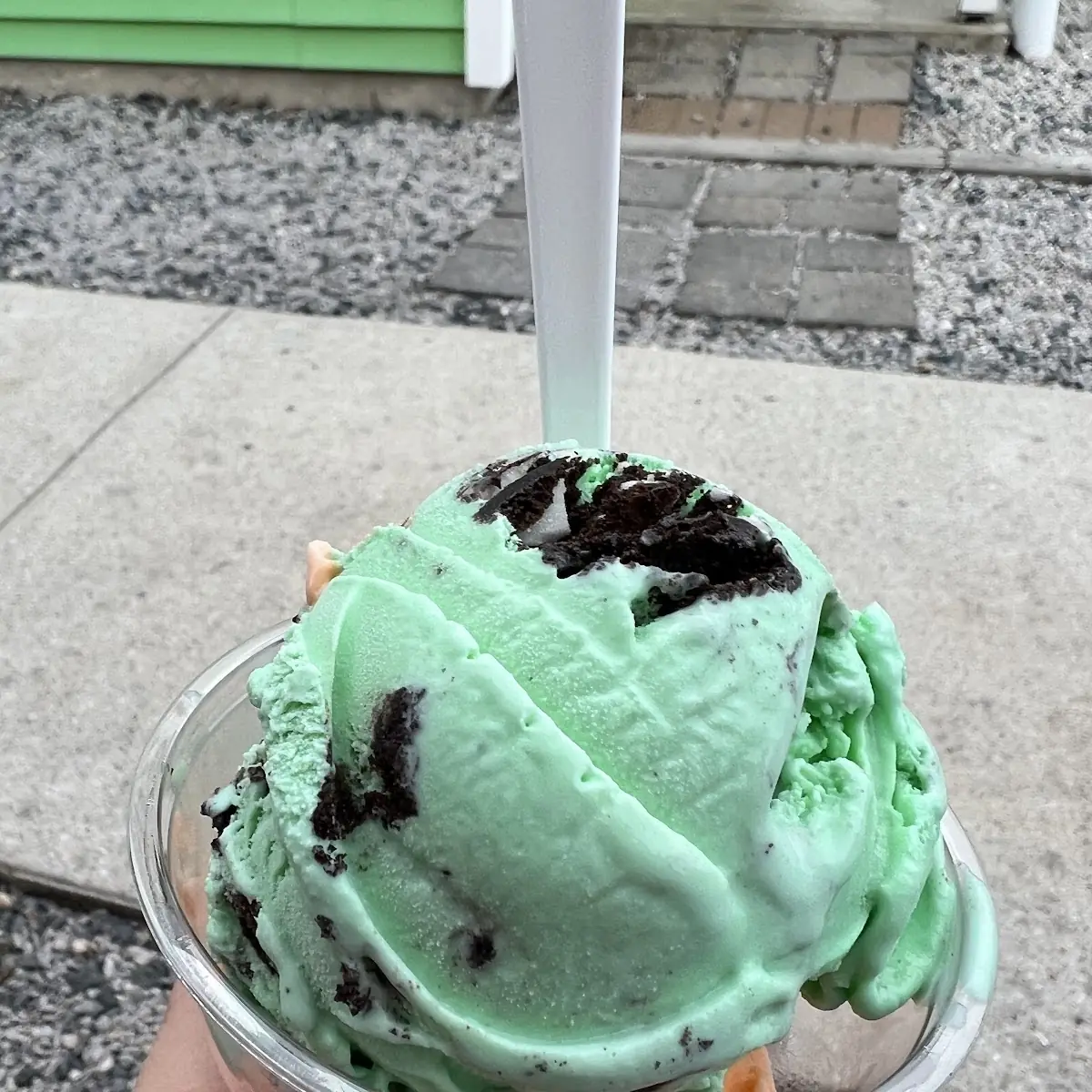 Mint Chocolate Chip