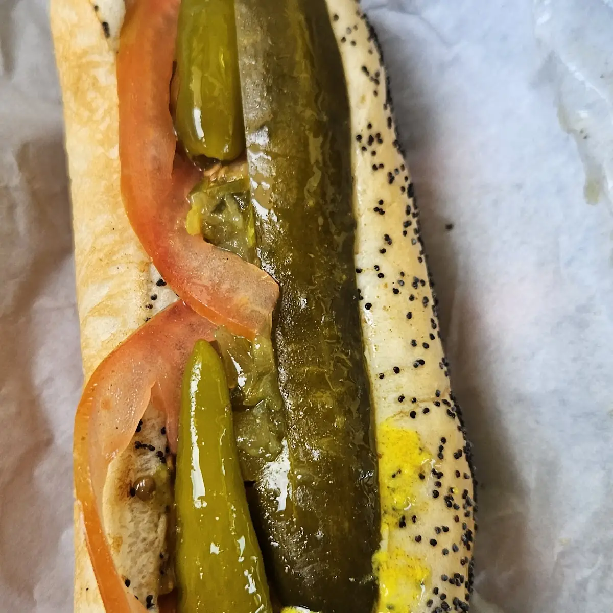Chicago Dog