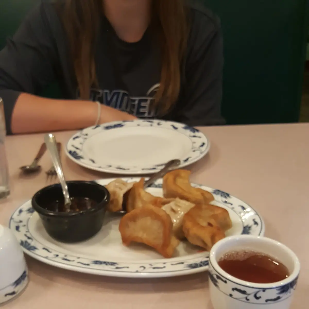 Fried or Steamed Dumplings 6