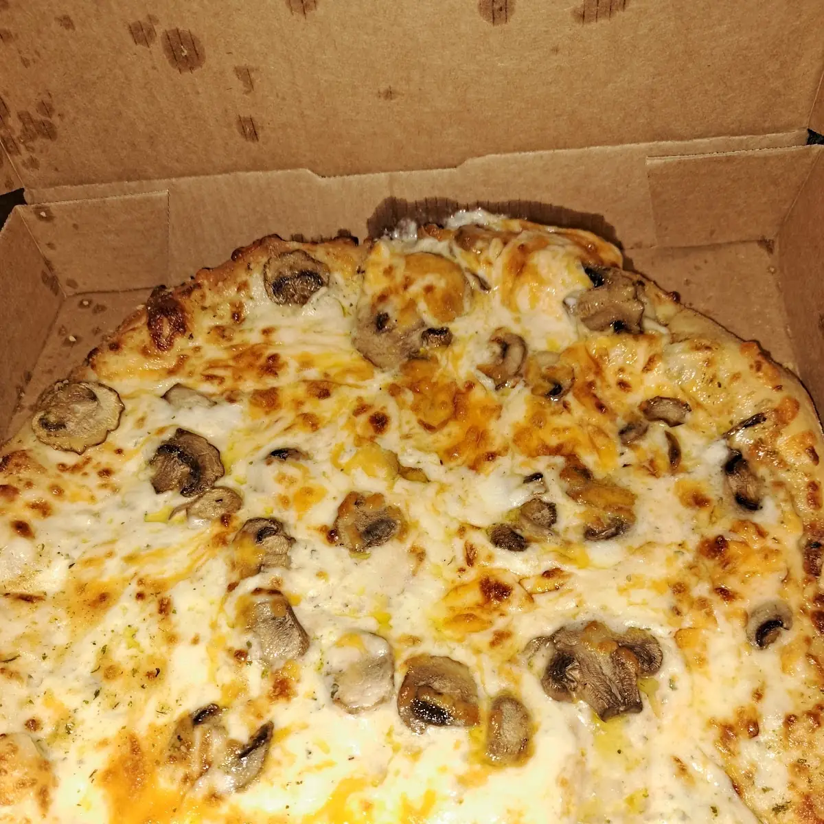 Garlic Parm Sauce Cheddar Cheese Mushrooms