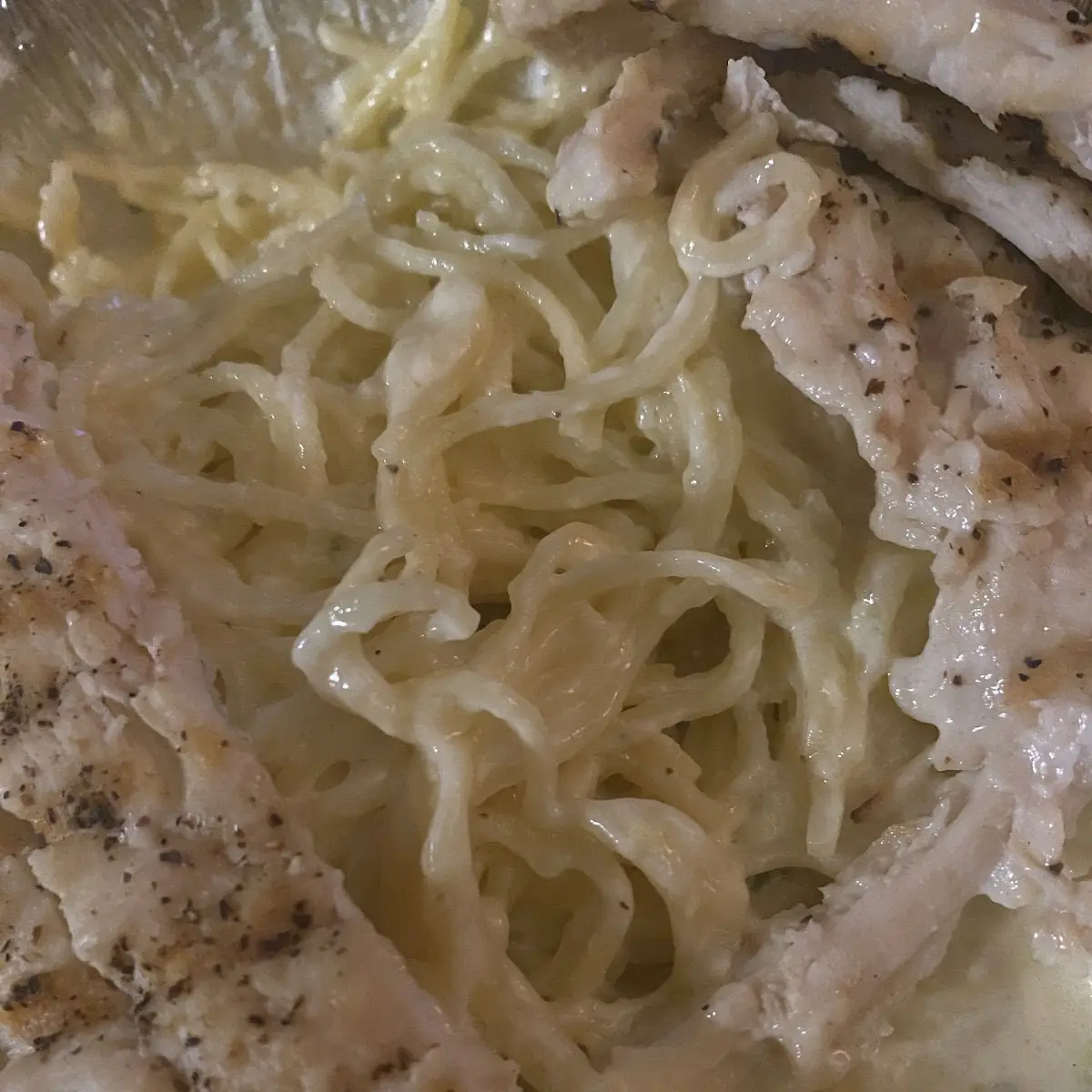 Shrimp Alfredo