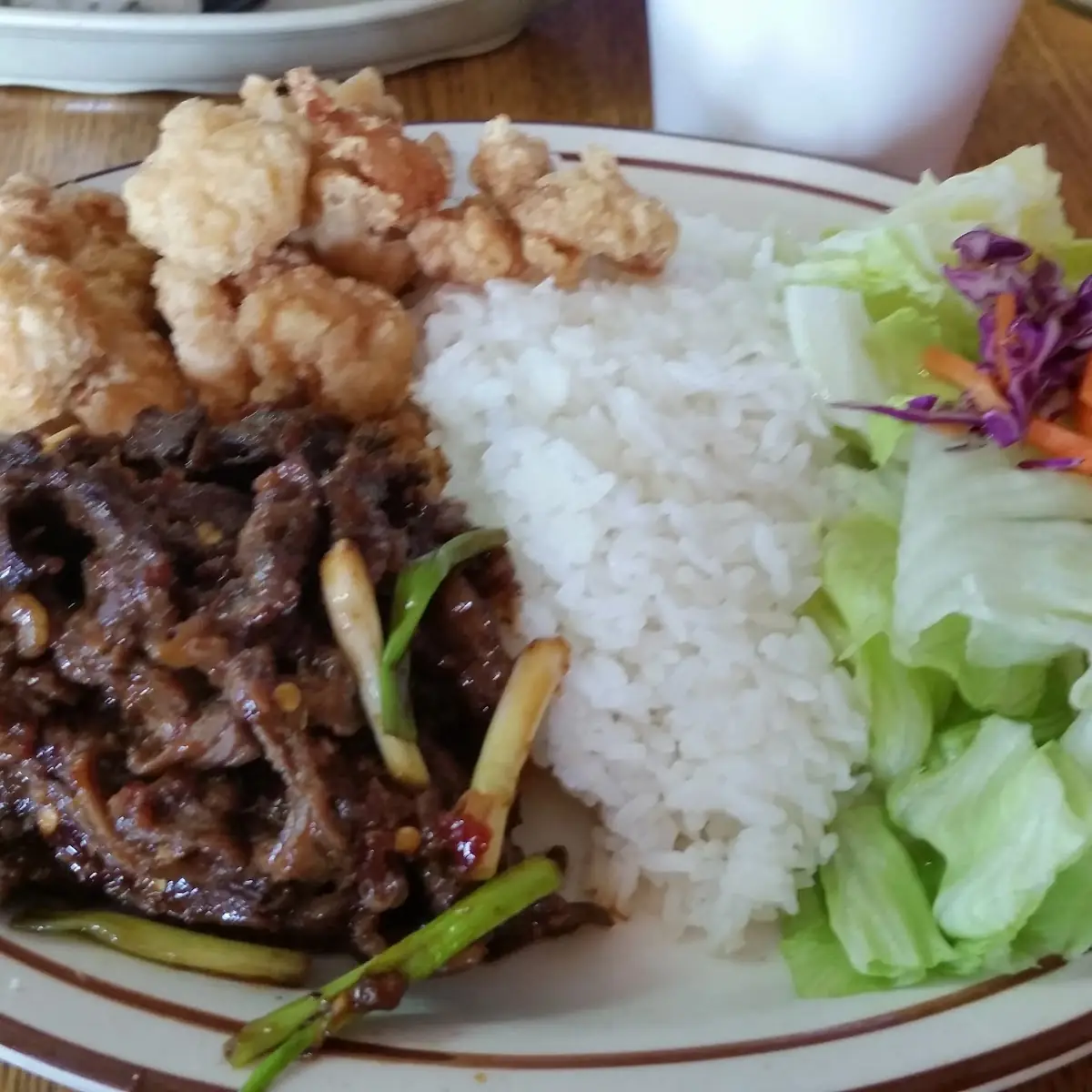 Mongolian Beef and Chicken Teriyaki