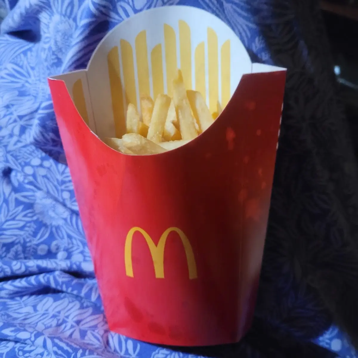2 Large Fries