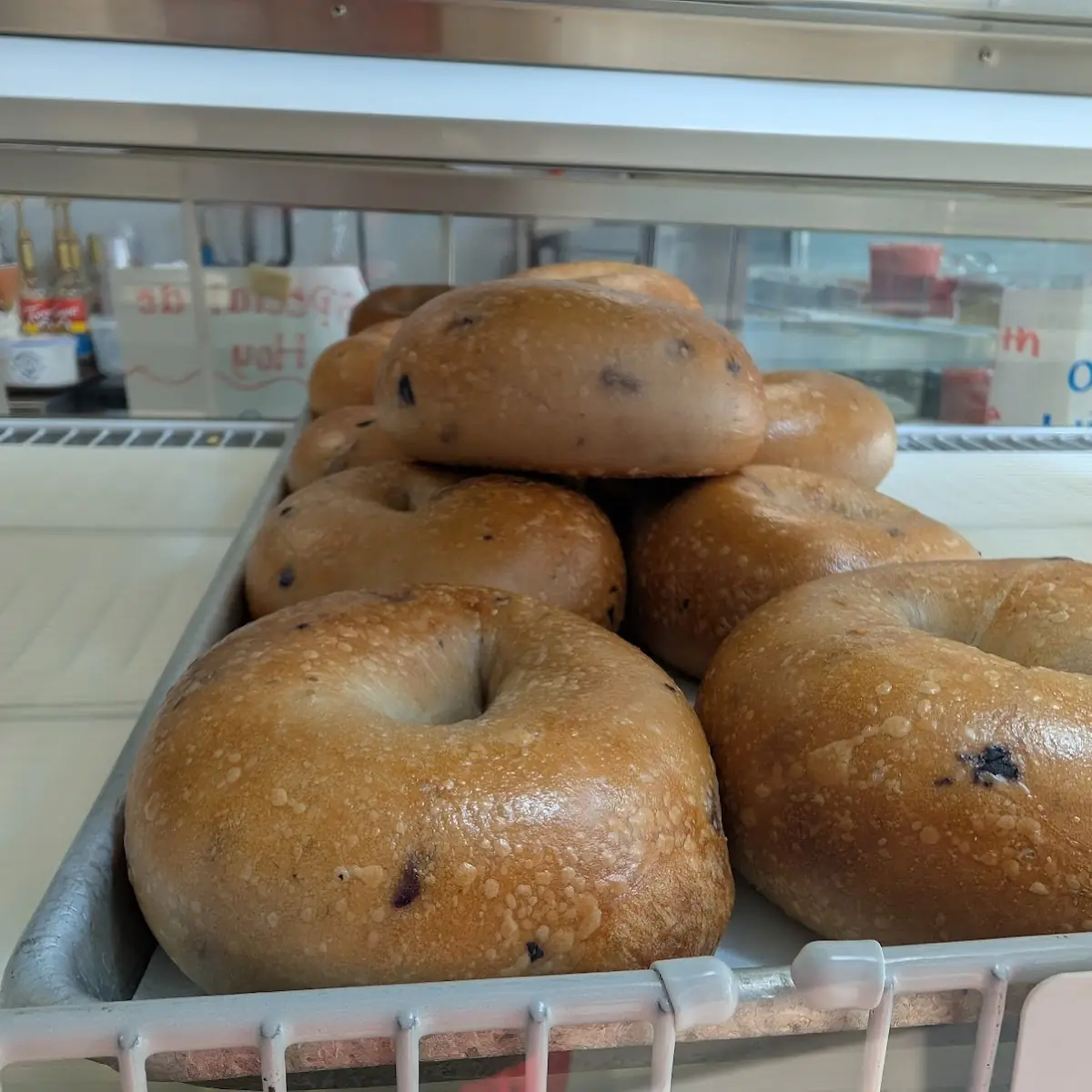 Everything Bagel