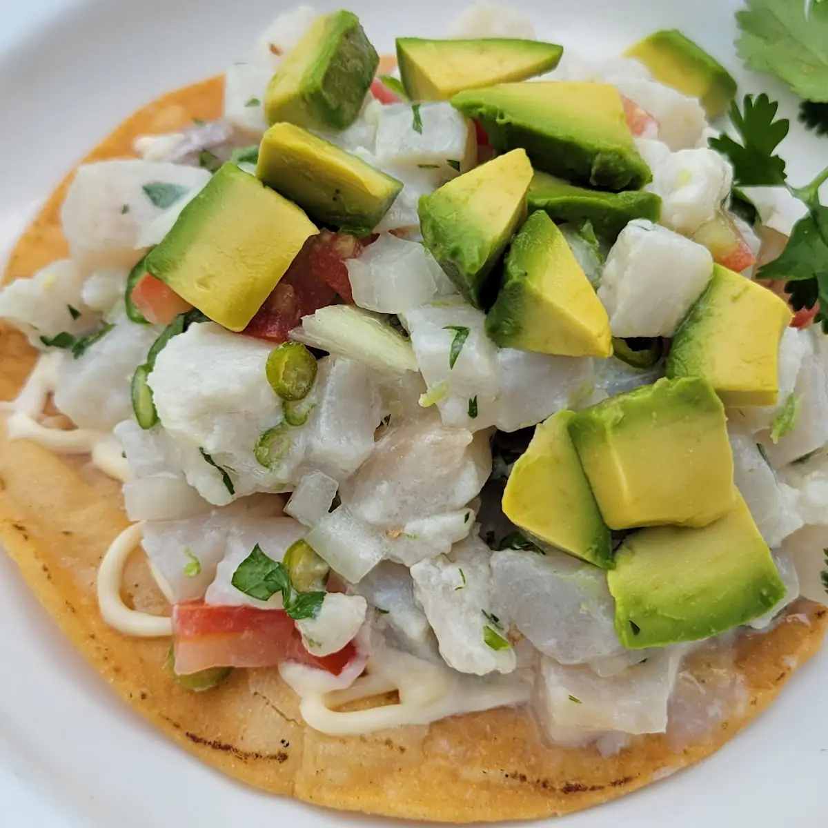 Ceviche Tostada