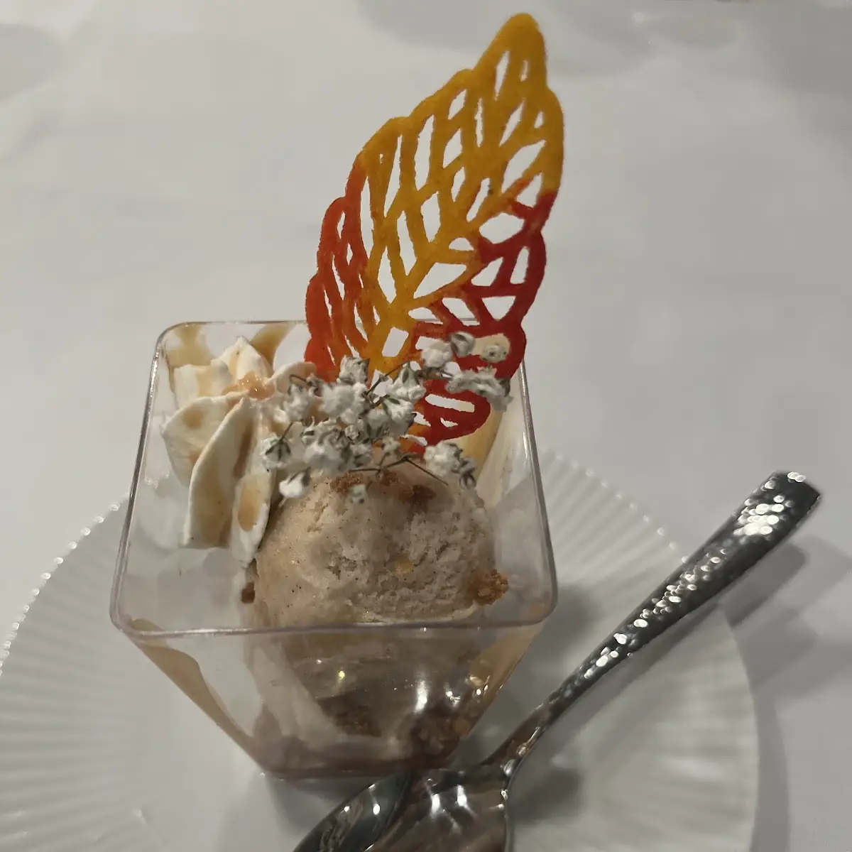 Pumpkin Spice Gelato