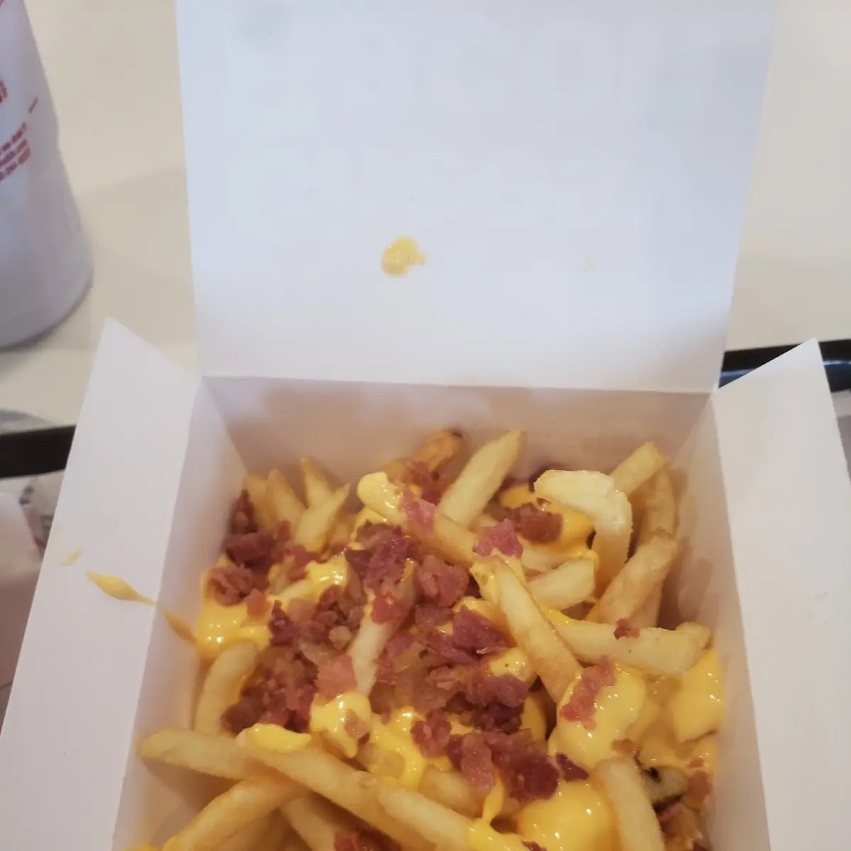 World Famous Fries