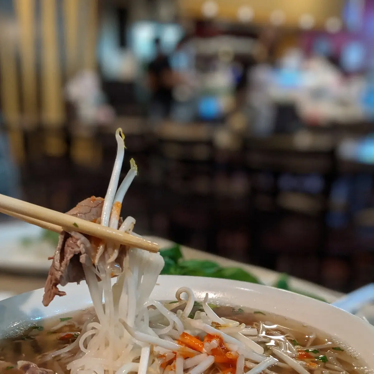 Beef Pho