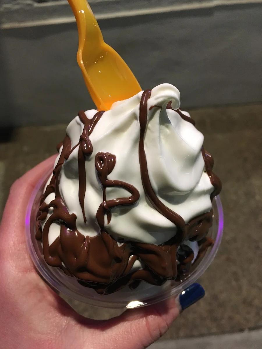 Small Cup of Vanilla Soft Serve with Nutella