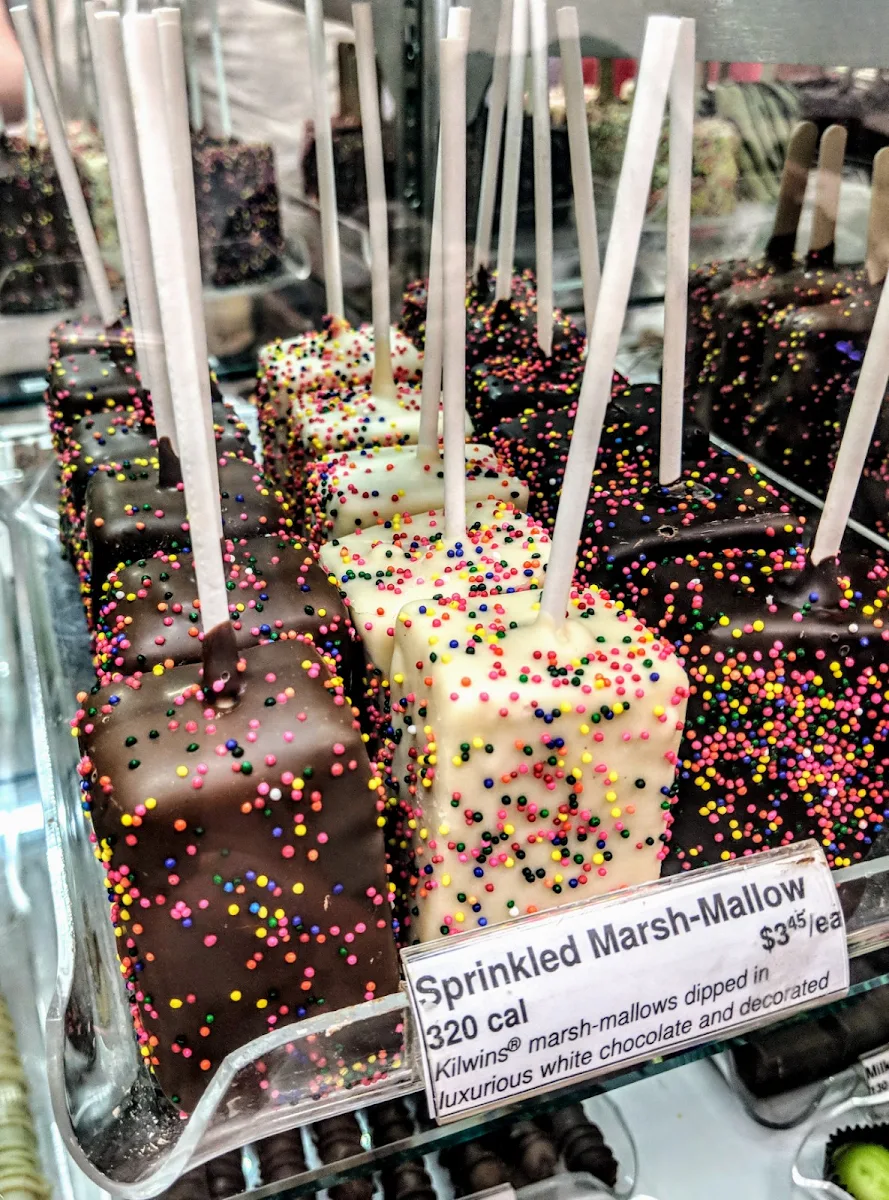 Chocolate Covered Marshmallow