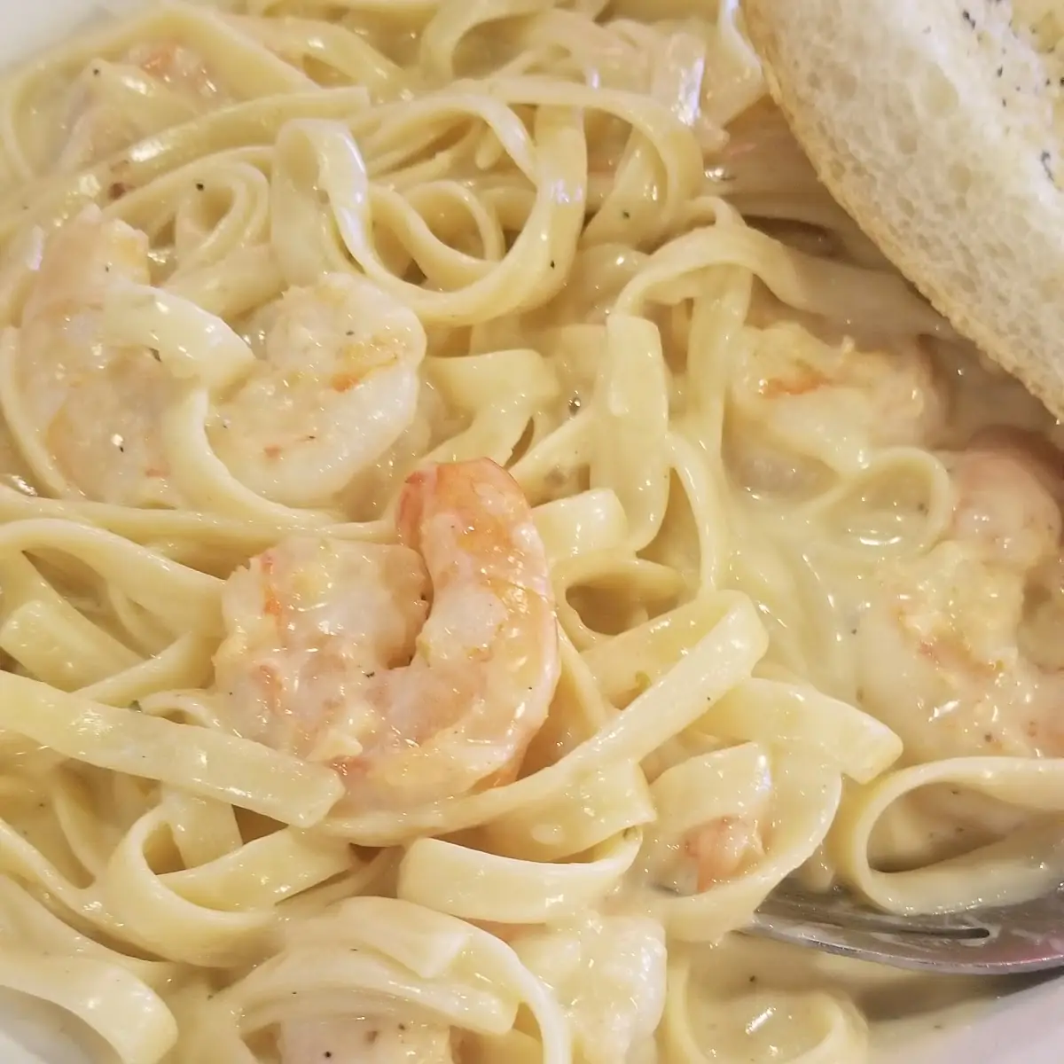 Shrimp Alfredo