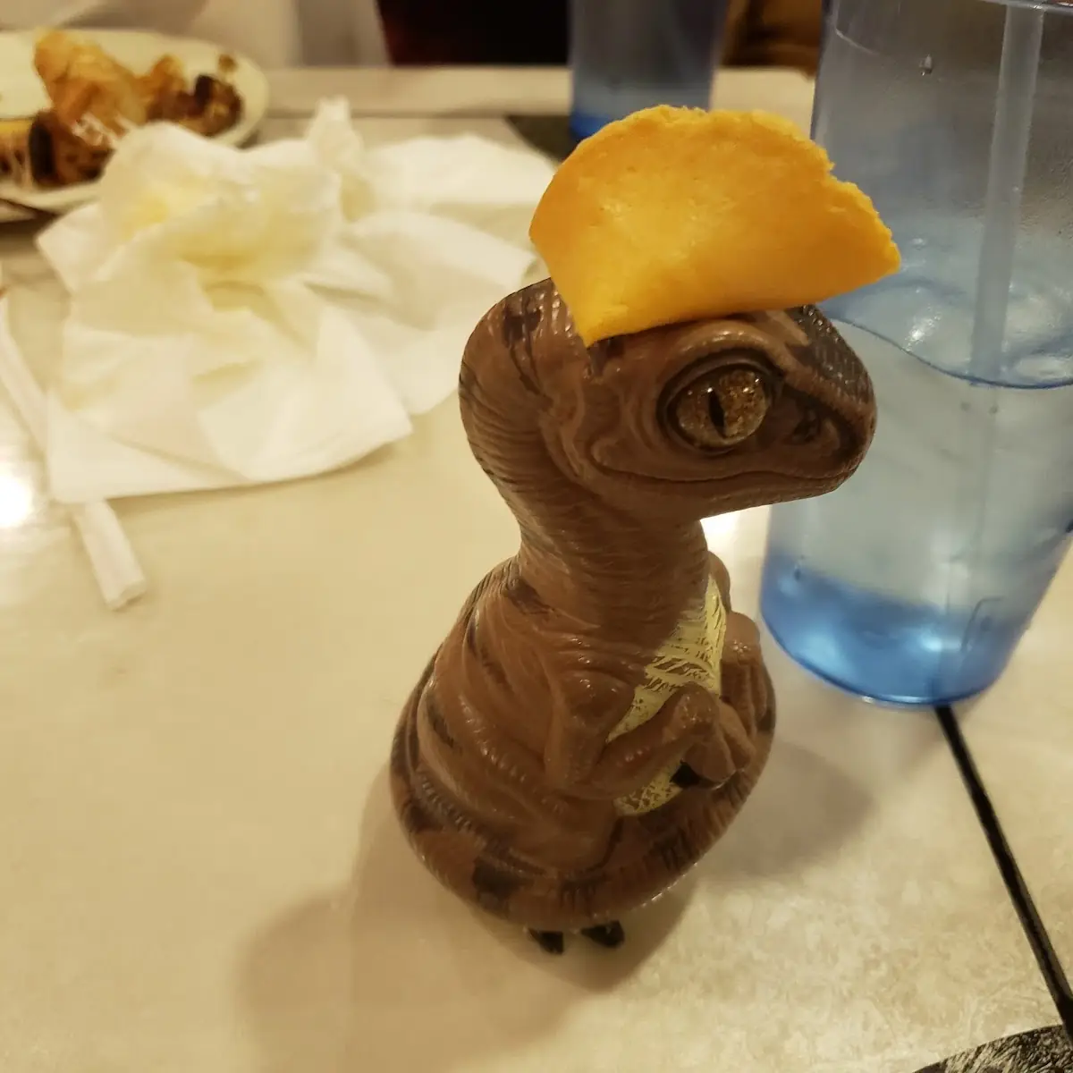 Fortune Cookies