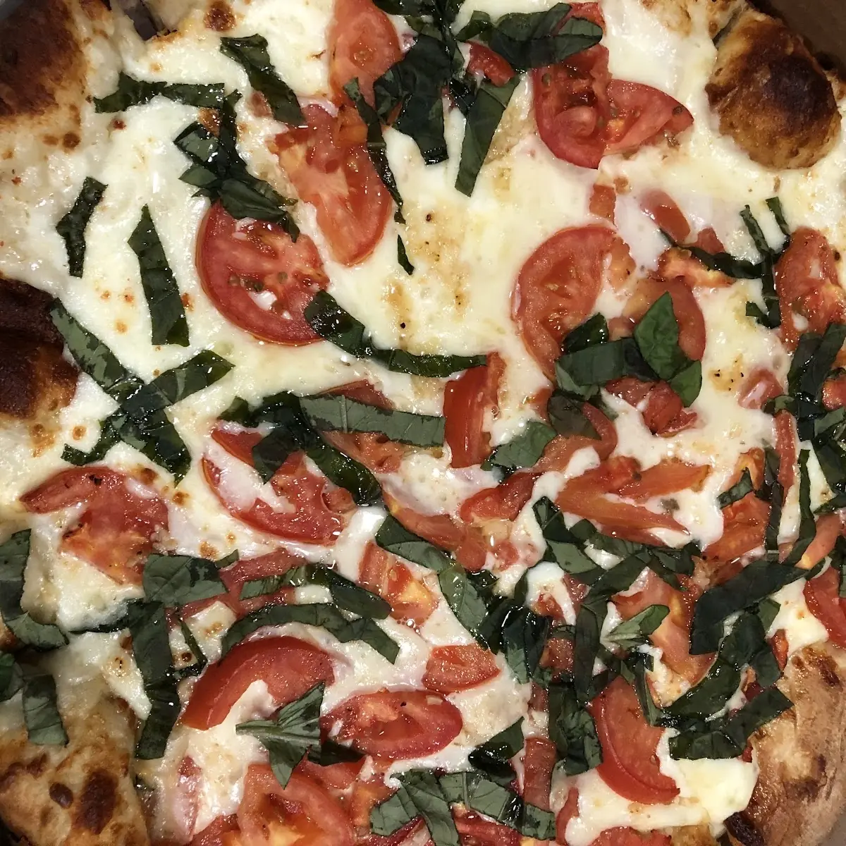 Margarita Pizza