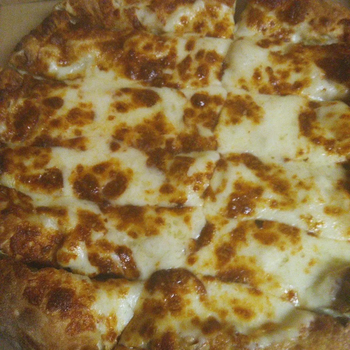 Mozzarella Cheese Sticks