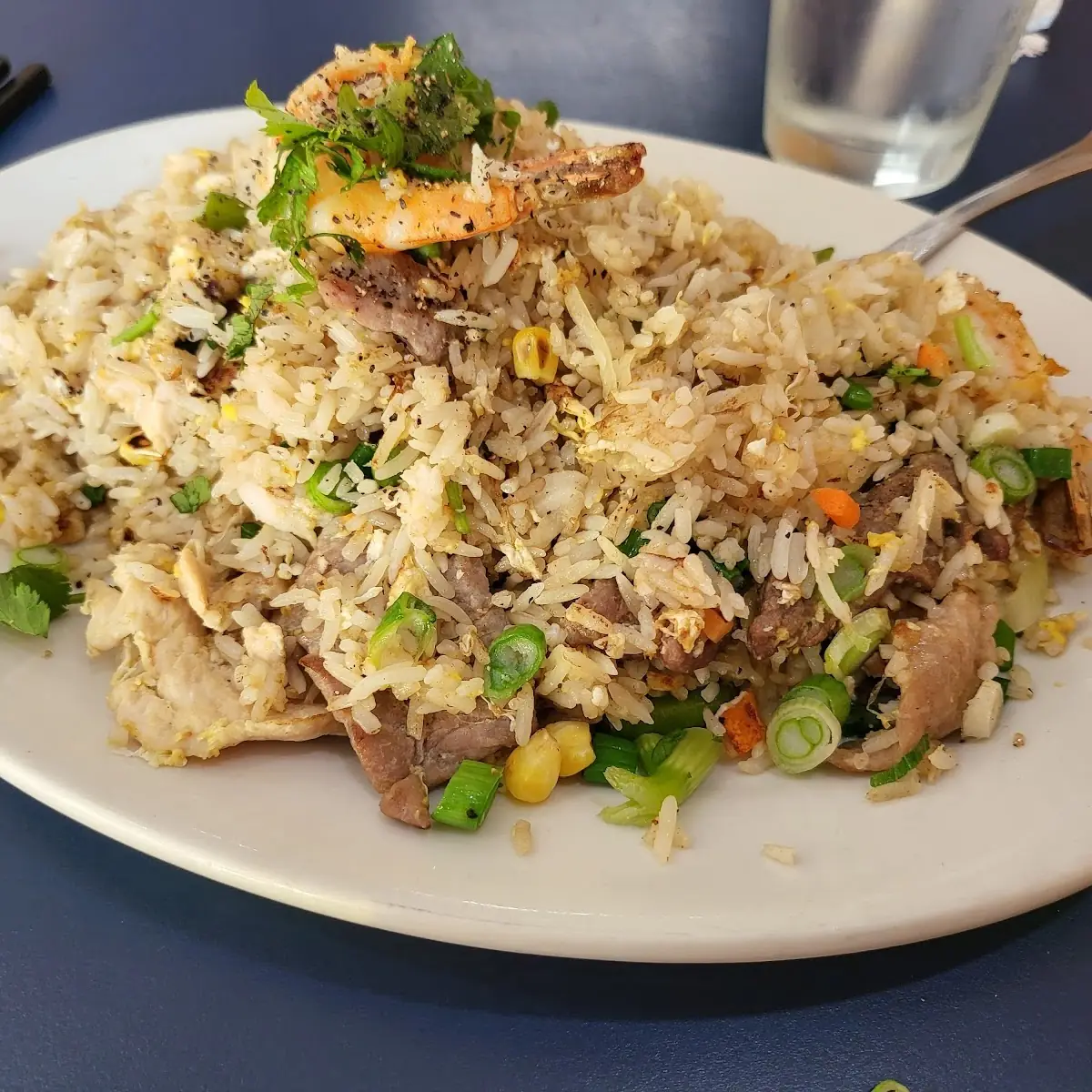 C9. Beef Fried Rice