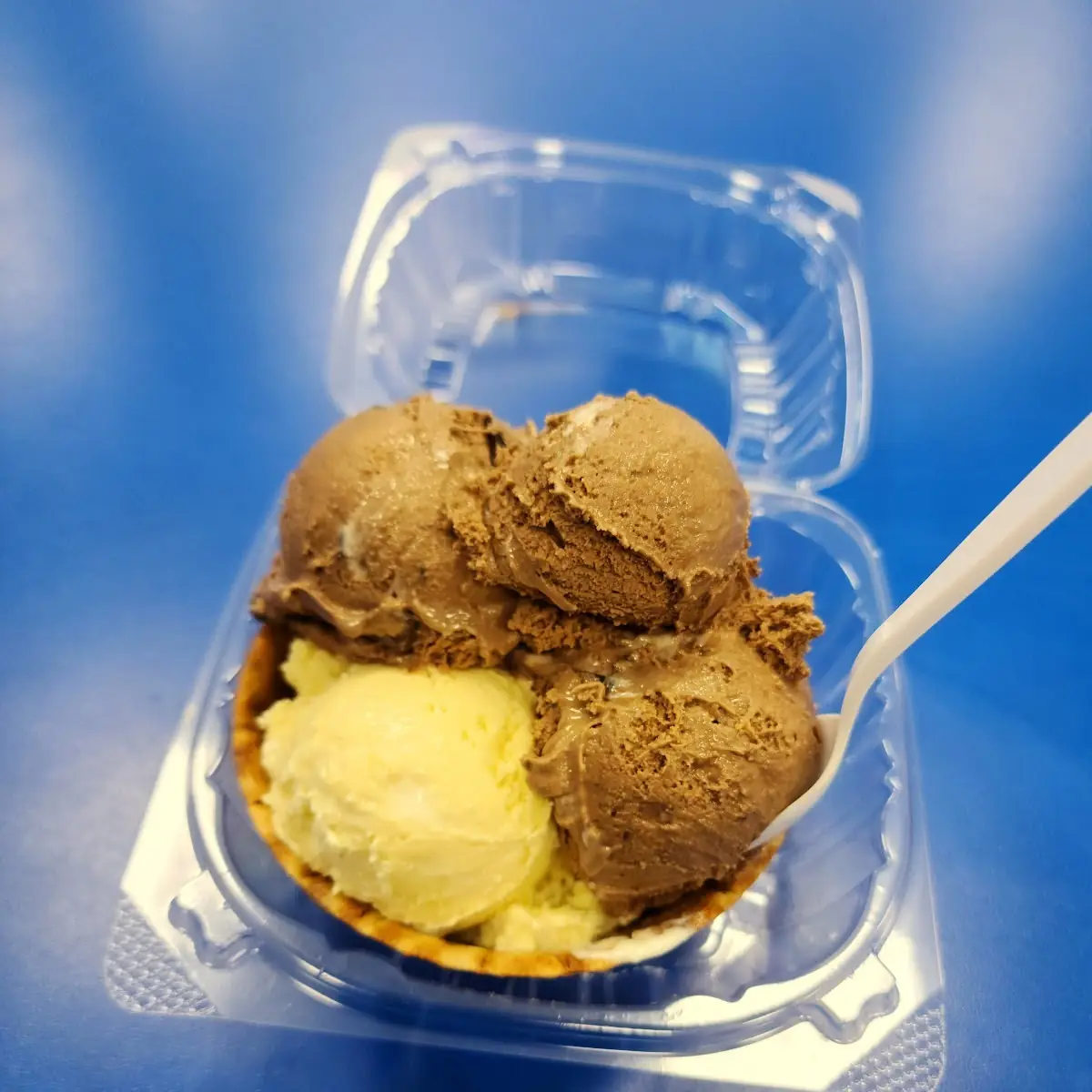 Chocolate Ice Cream