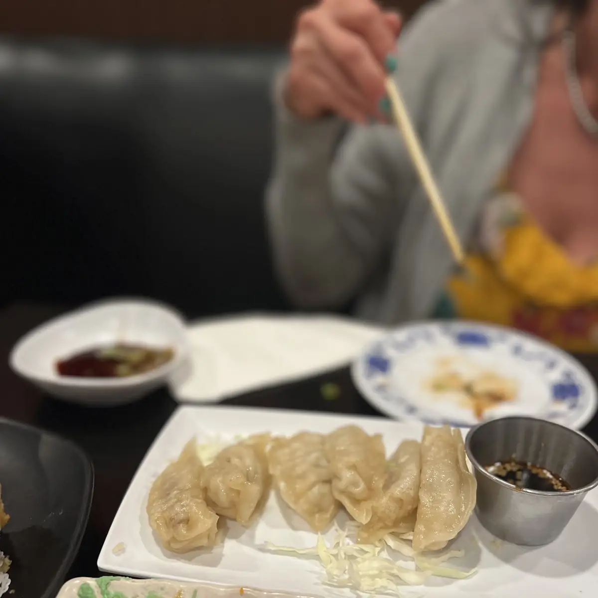 Pan Fried Gyoza