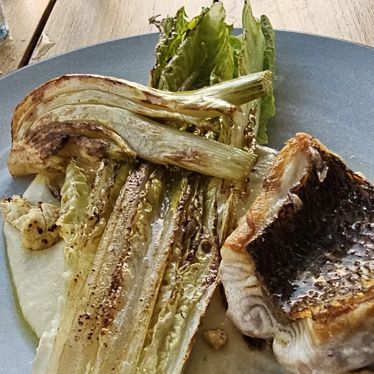 Red Snapper