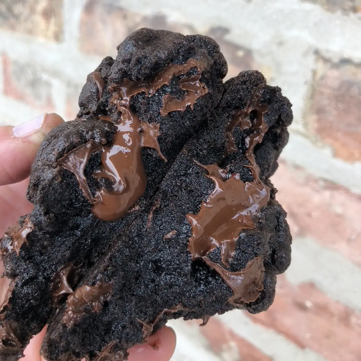 Chocolate Brownie