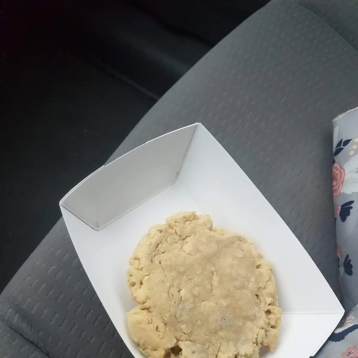 Oatmeal Choc Chip Cookie
