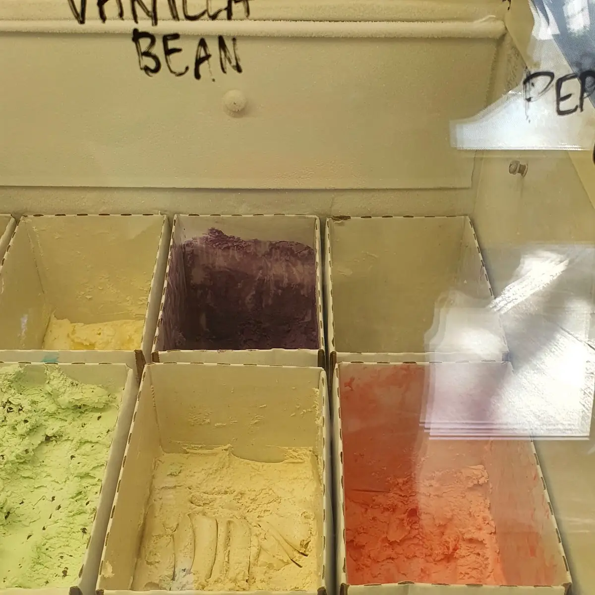 Vanilla Bean