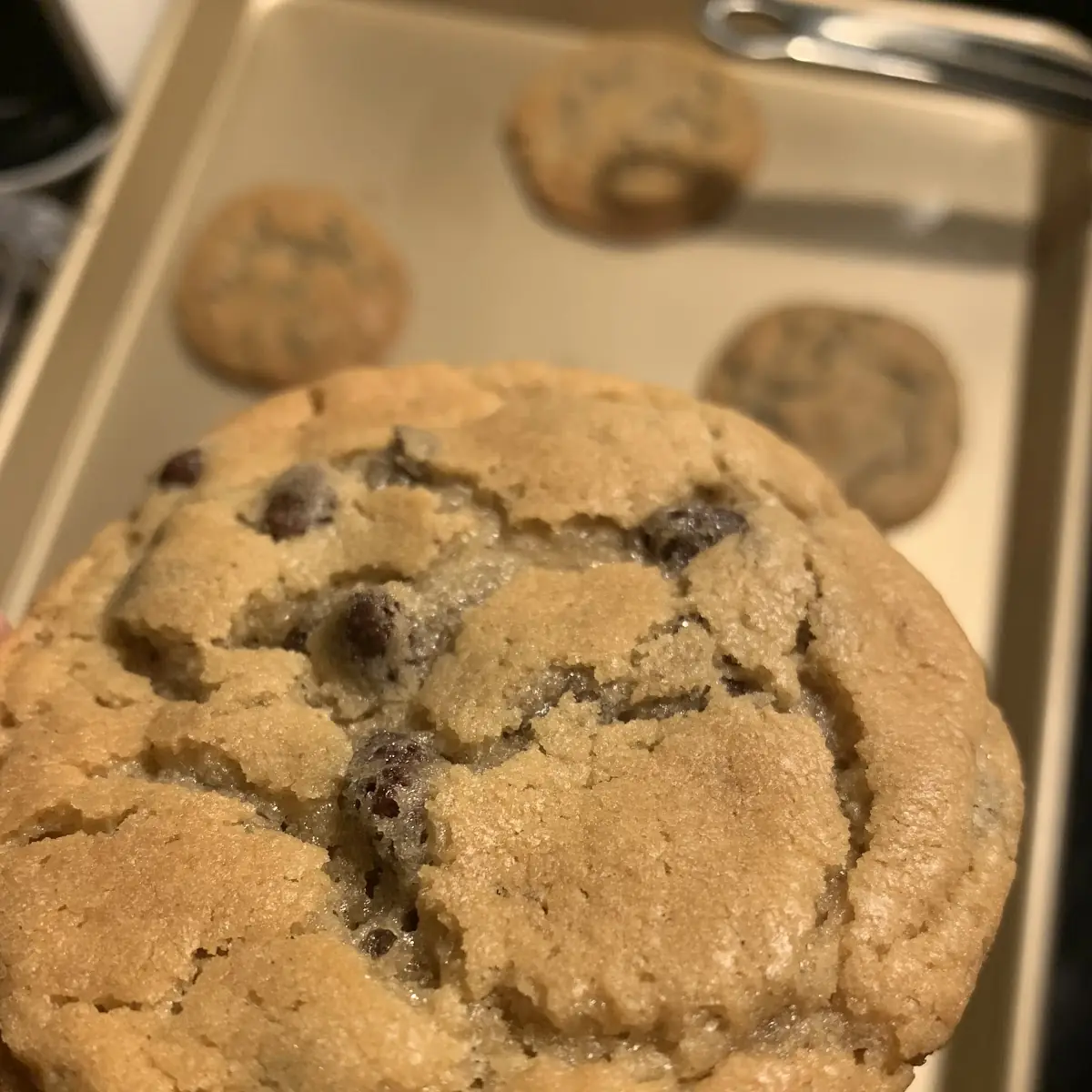 Chocolate Chip Cookie