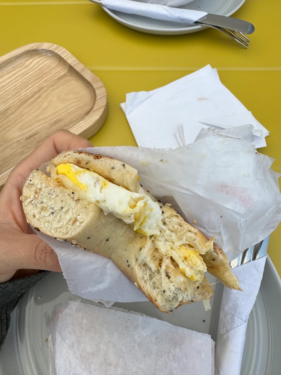 Egg and Cheese on Everything Bagel