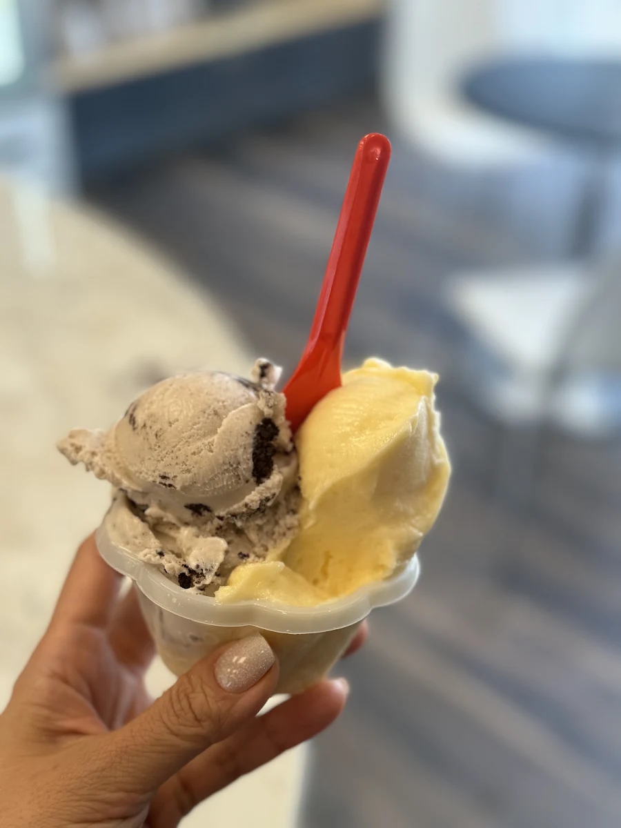 Madagascar Bourbon Vanilla Bean Gelato