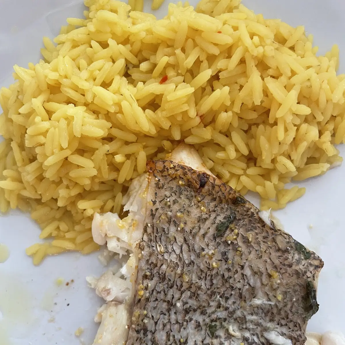 North Atlantic Salmon