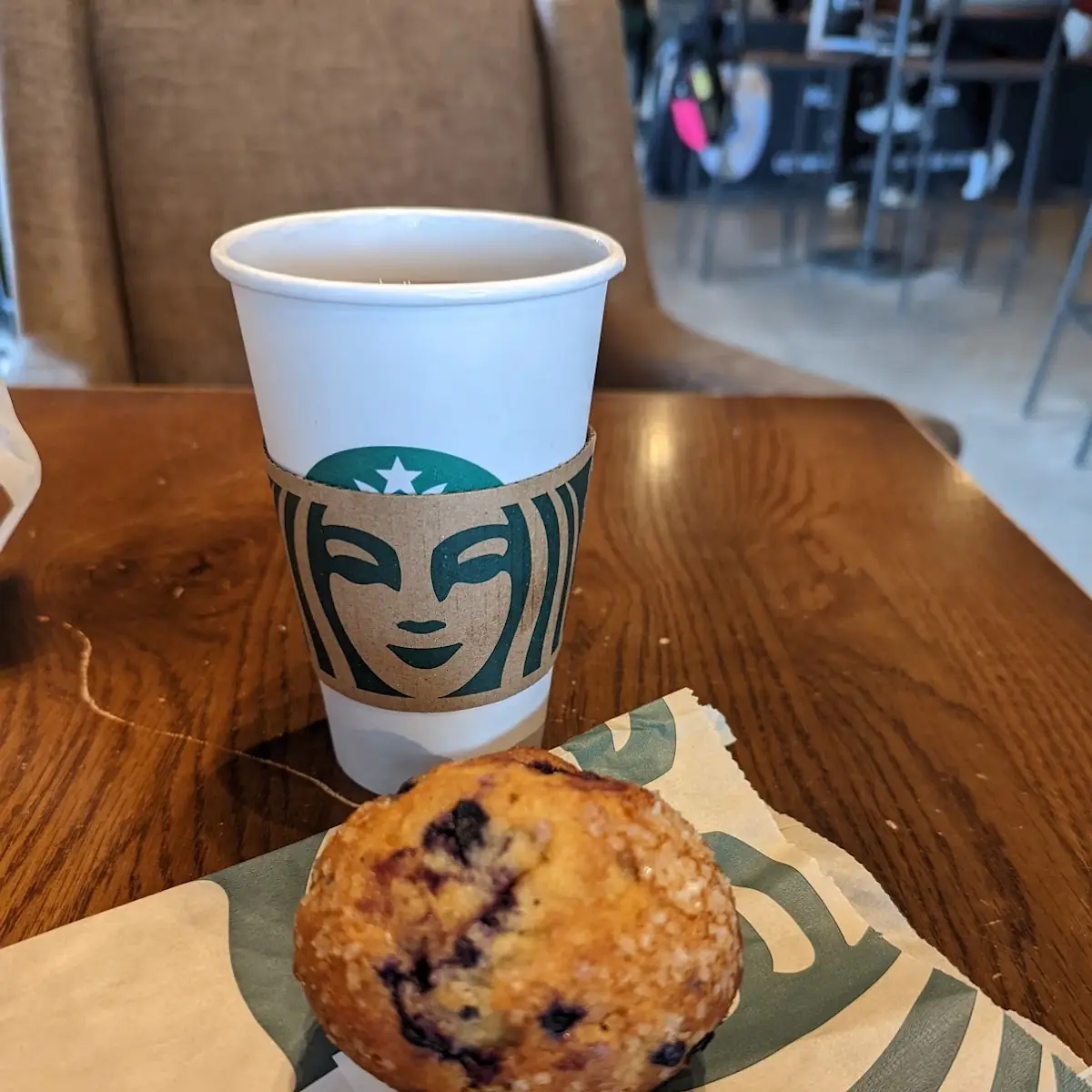 Blueberry Muffin