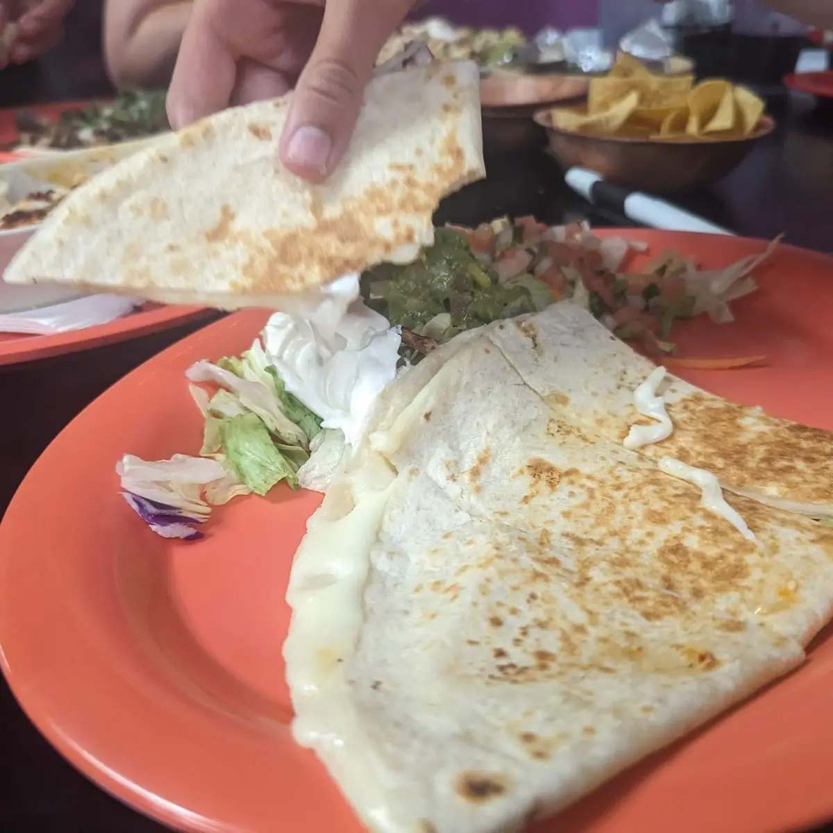 Cheese Quesadilla