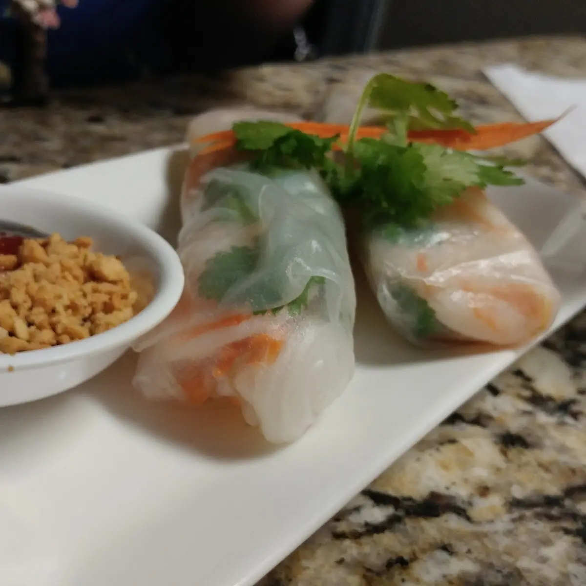 Fried Veggie Spring Rolls