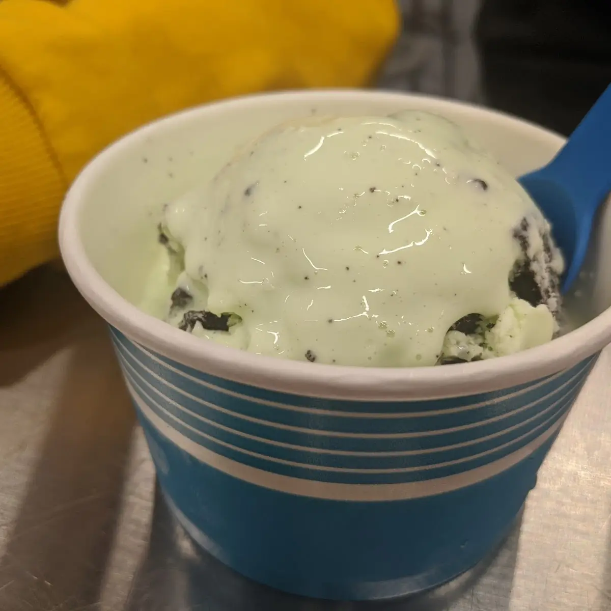 Chocolate Chip Mint