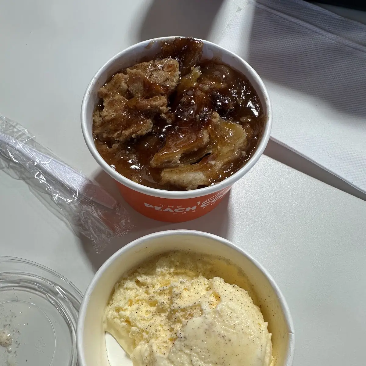Cinnamon Apple Pie and Ice Cream