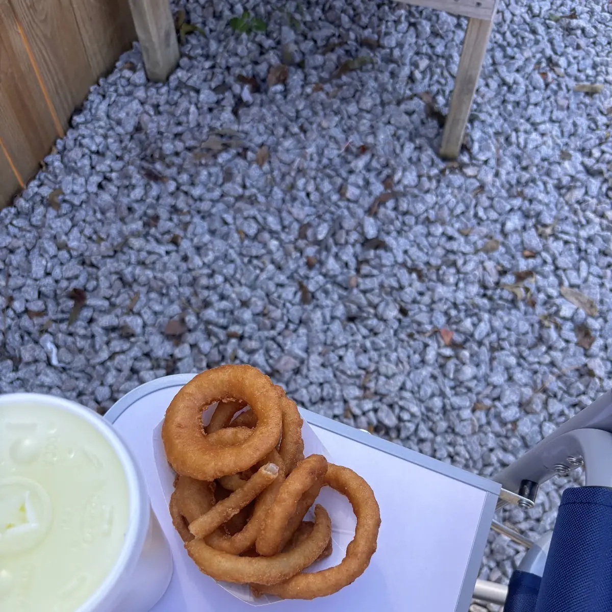 Onion Rings One Size