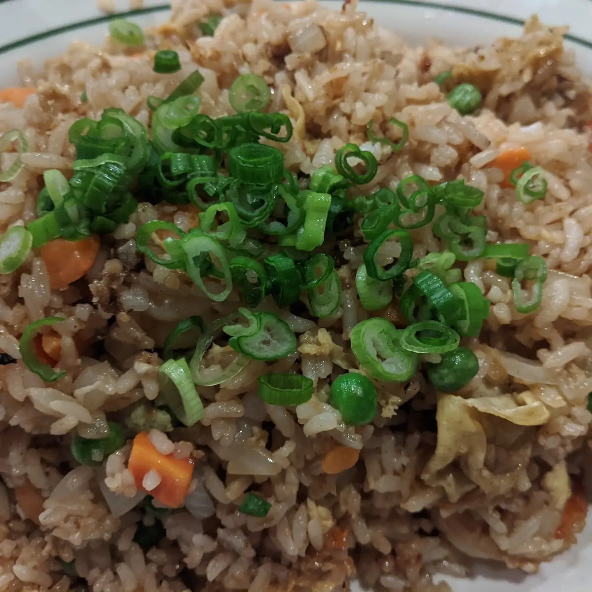 Moose Fried Rice