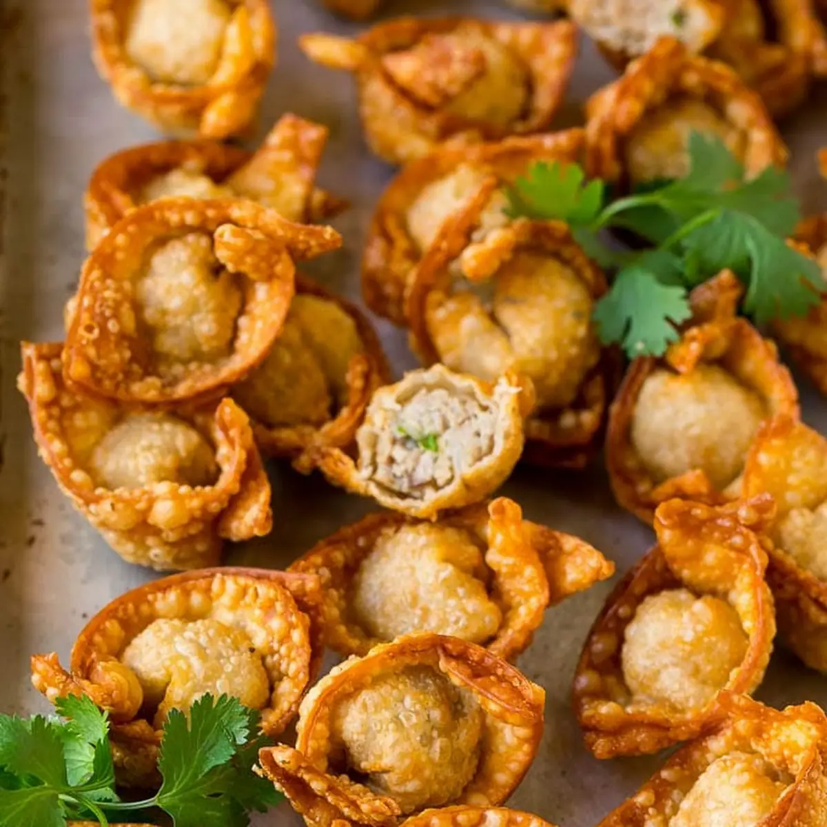 Fried Wonton 10 Pork Meat