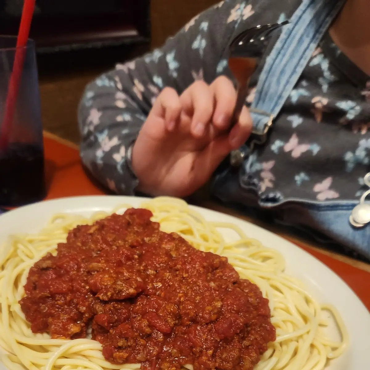 Spaghetti with Meat Sauce